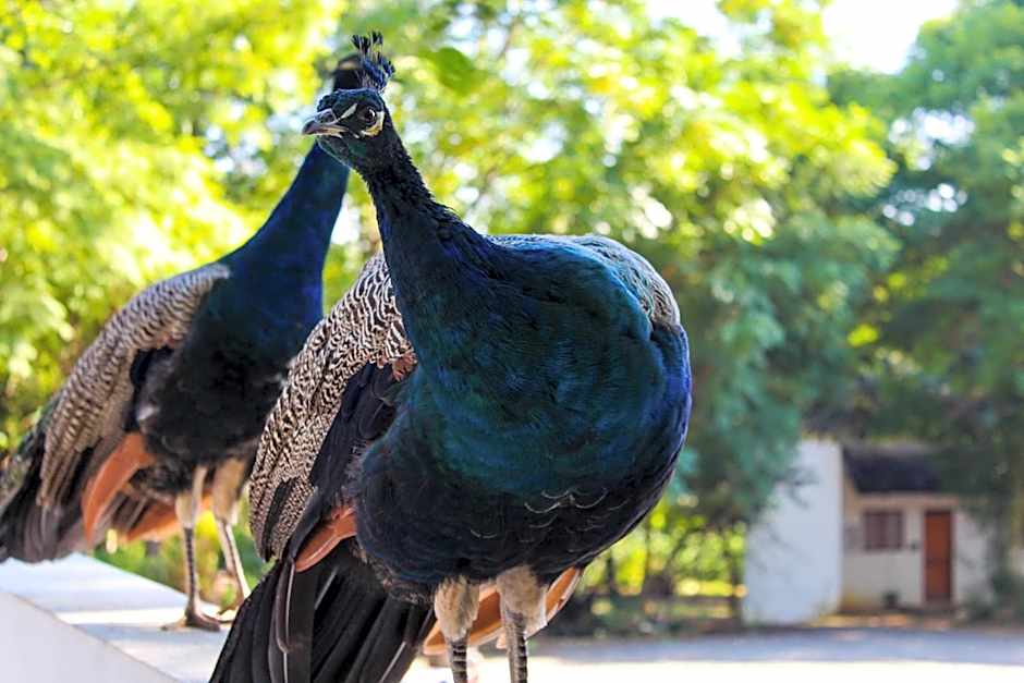 BON Hotel Rustenburg