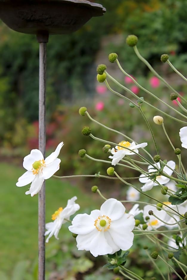 Le Chemin du Village