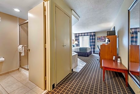 Queen Suite with Walk-In Shower and Jacuzzi - Pool View/Non-Smoking