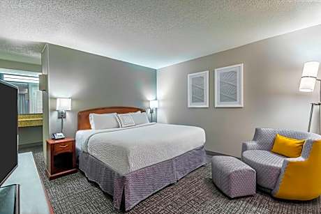 Suite King Bed One Bedroom 