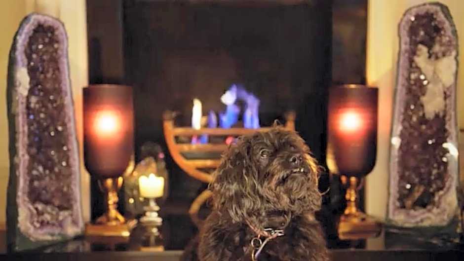 Georgiana's Guesthouse