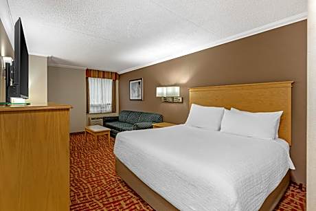 1 Queen Bed, Non-Smoking, High Speed Internet Access, Sofabed, Coffee Maker, Iron And Ironing Board,