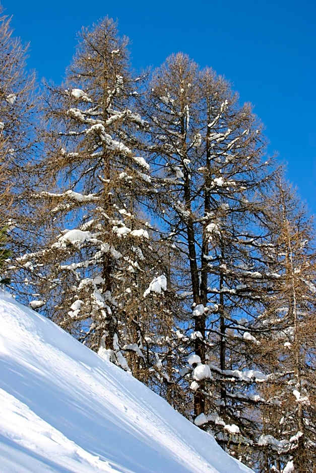 Madame Vacances Lodges des Alpages