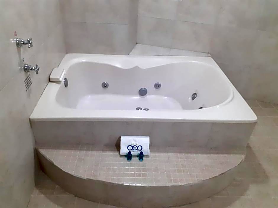 Hotel CEO