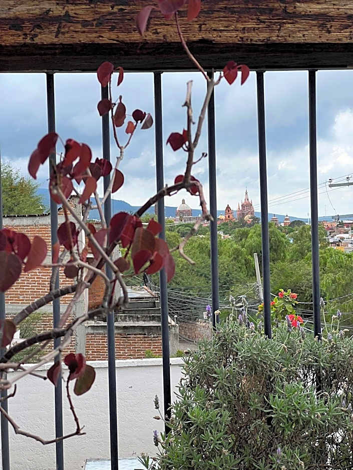 Departamento en planta baja con patio, dos habitaciones con dos ba¿os completos sala y cocina integral Vistas desde la azotea de