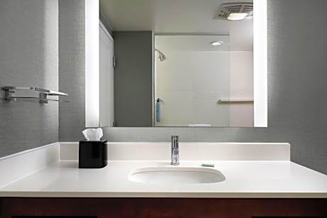 Newly Renovated One-Bedroom King Suite with Sofa Bed and Transfer Shower - Mobility/Hearing Accessible