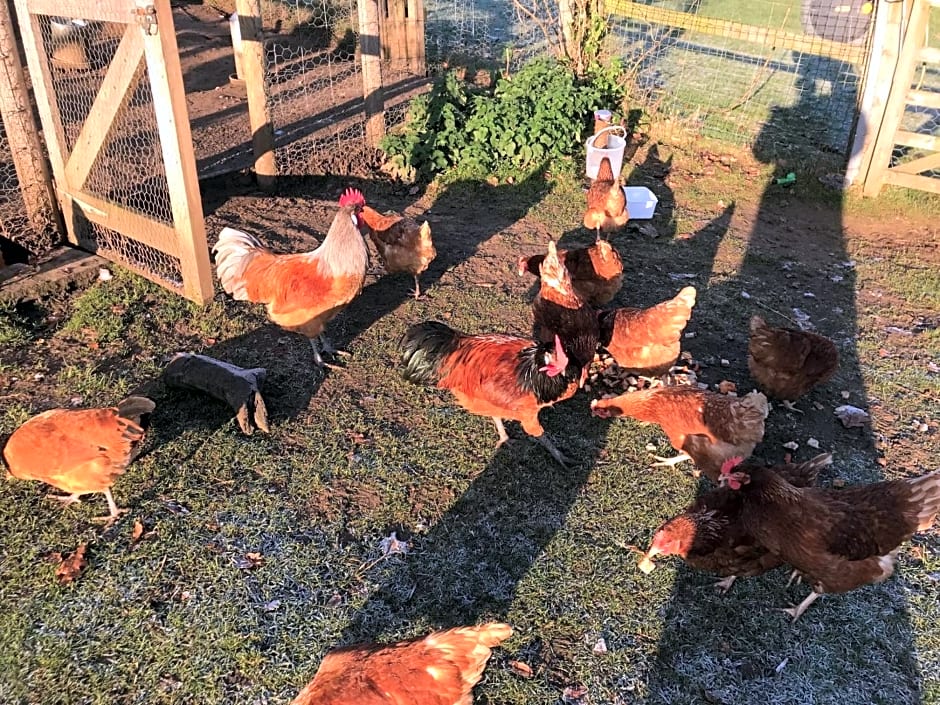 Chart House Bed and Breakfast