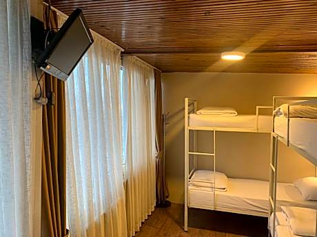 1 Person in 4-Bed Dormitory - Mixed