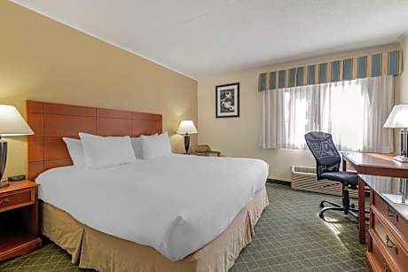 Double Room with Two Double Beds and Walk-In Shower - Disability Access