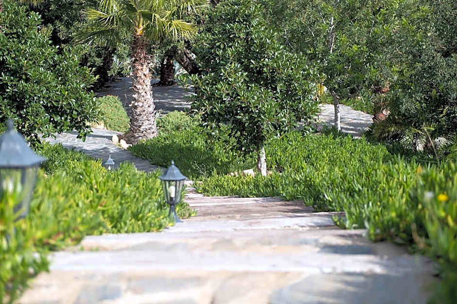 La Almendra y El Gitano