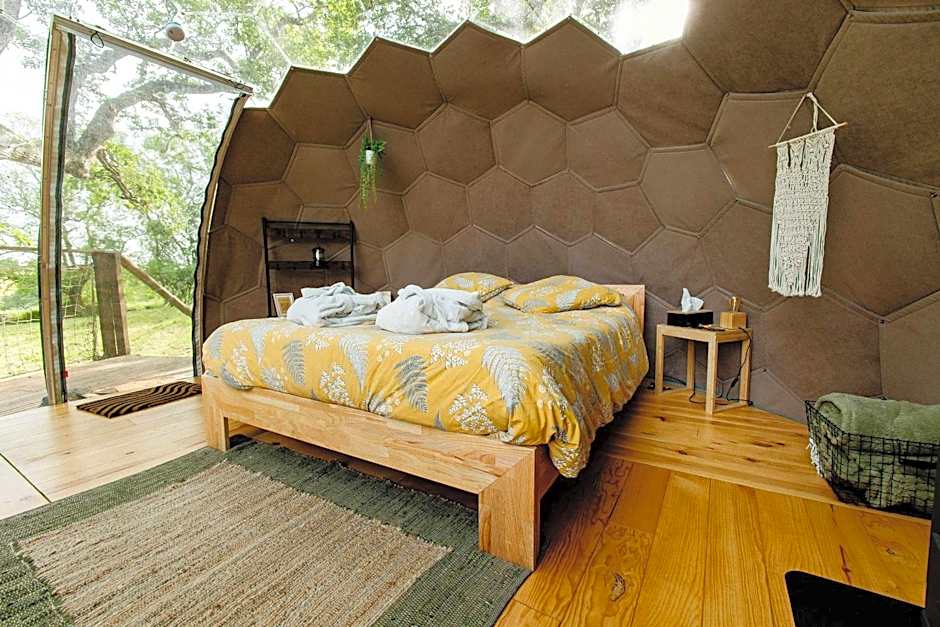 les bulles perchées de lartigue