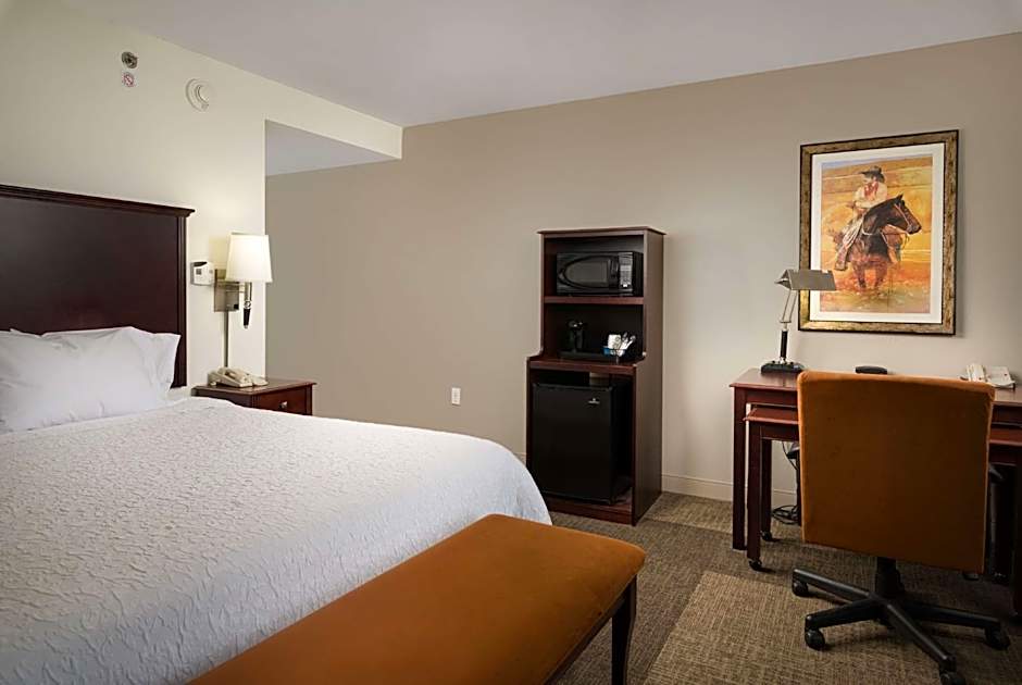 Hampton Inn By Hilton & Suites Altus