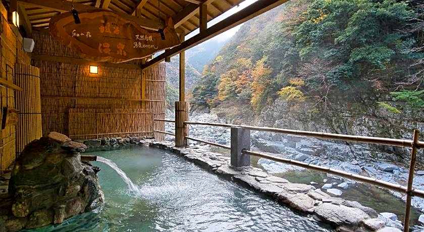 Wanoyado Hotel Iya Onsen Natural Hot Spring
