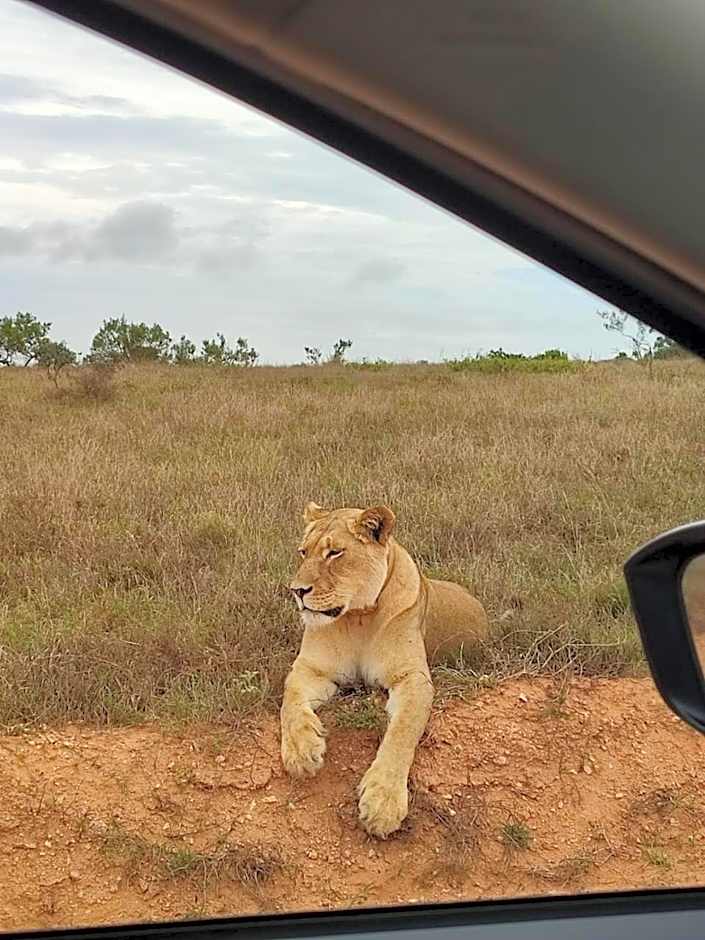Kudu Ridge Game Lodge