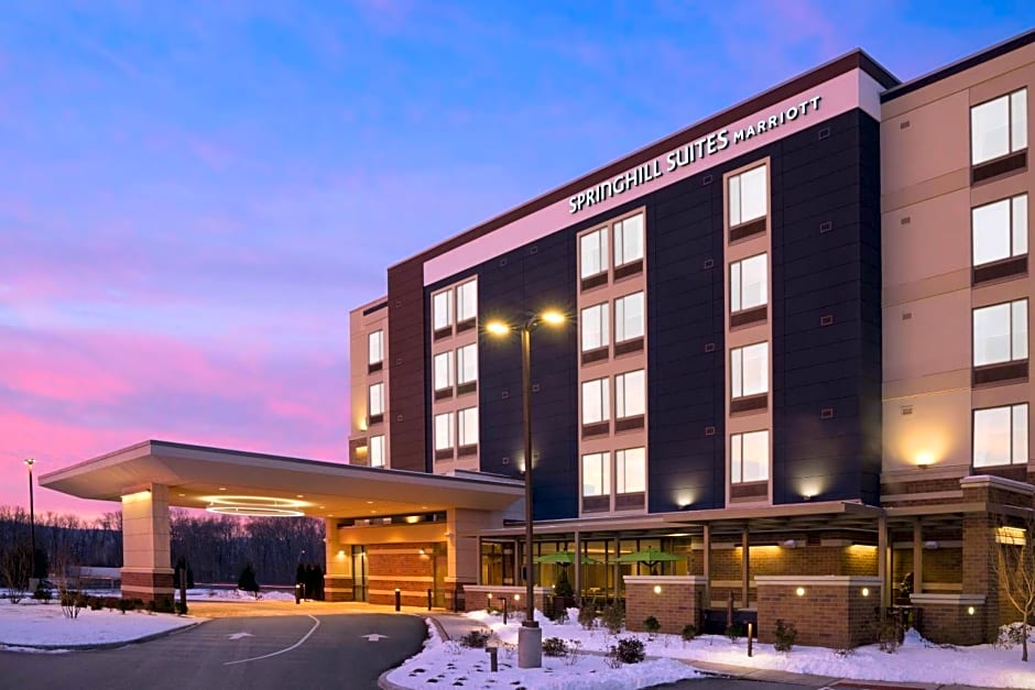 SpringHill Suites by Marriott Allentown Bethlehem/Center Valley