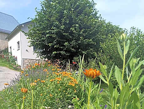 Le domaine de Moïse