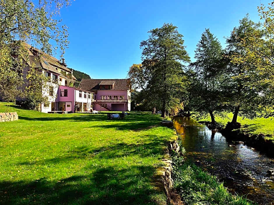 Logis Hotel Des Vosges