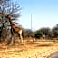 Giraffe Lodge