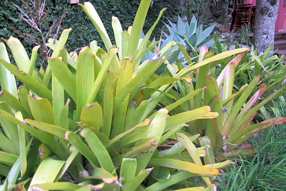 Dubai Bungalows Bombinhas