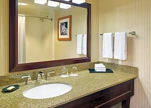 Blue Ridge Hotel and Conference Center – Roanoke, VA