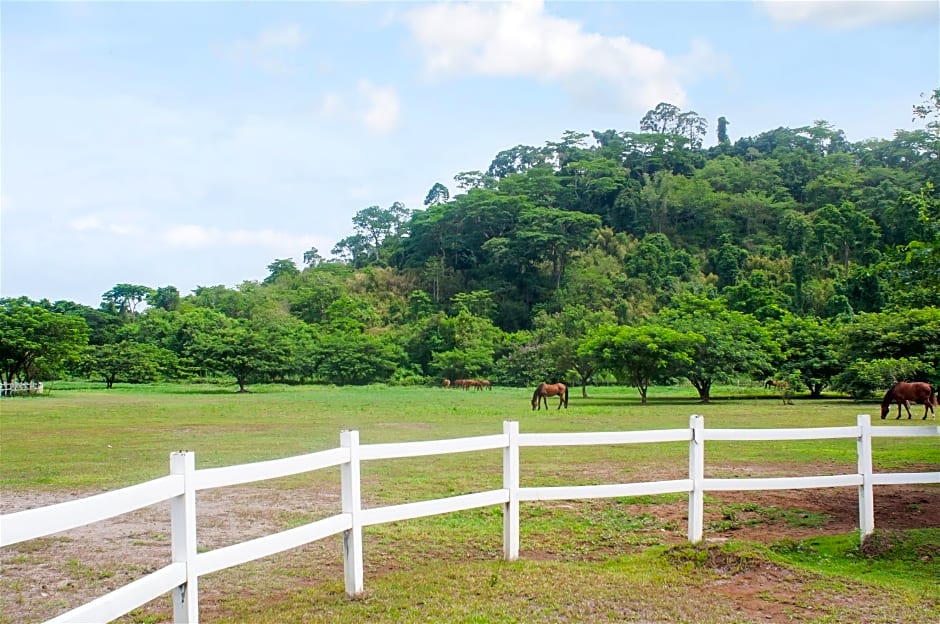 Kingsleys Hotel and Gastro Pub