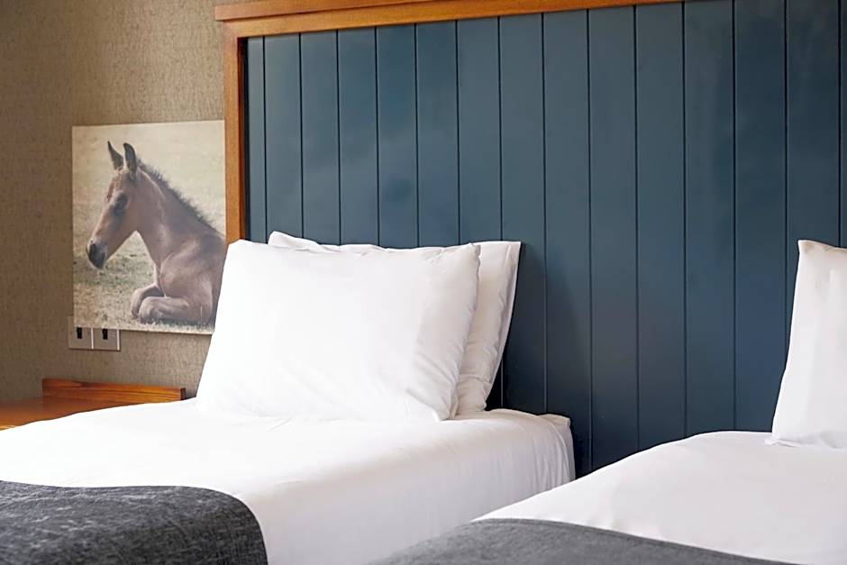 White Rabbit by Chef & Brewer Collection