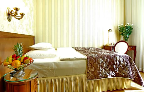 single economy room with free SPA access