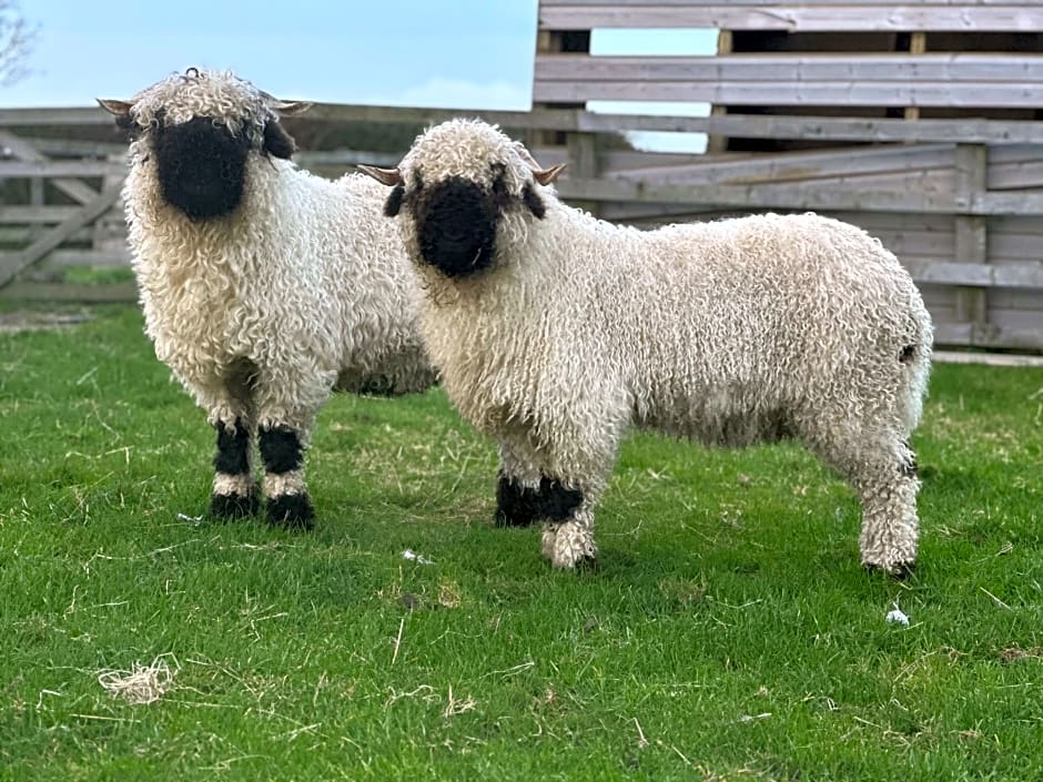 White House Farm - Beautiful Self Contained Courtyard Rooms