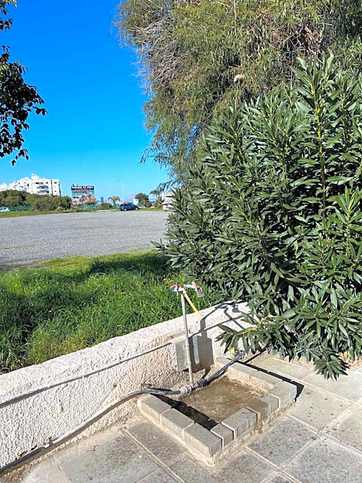 Makenzie 2 rooms first line beach