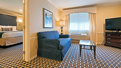 Suite-1 King Bed, Non-Smoking, Sofabed, Two Flat Panel Televisions, Microwave And Refrigerator, Jett