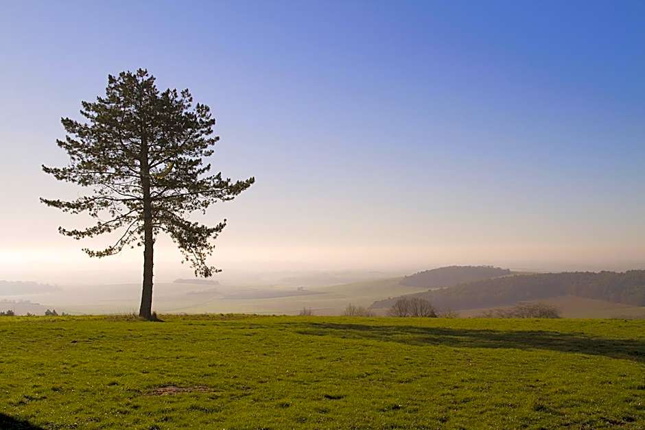 Le clos des artistes - Chambres d'hôtes