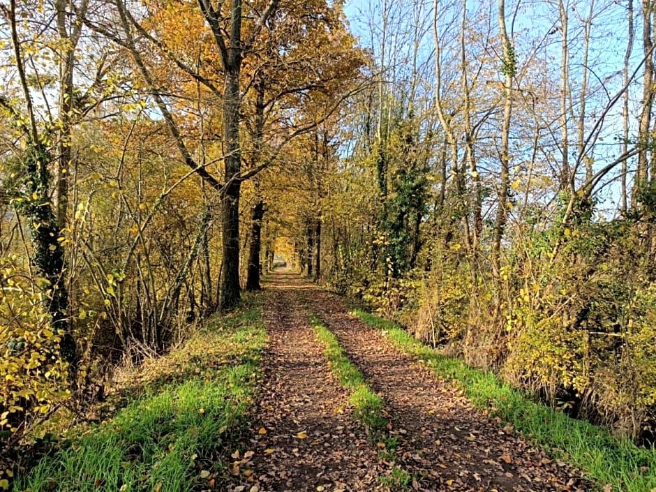 Chez Christy Chemin des Dinots