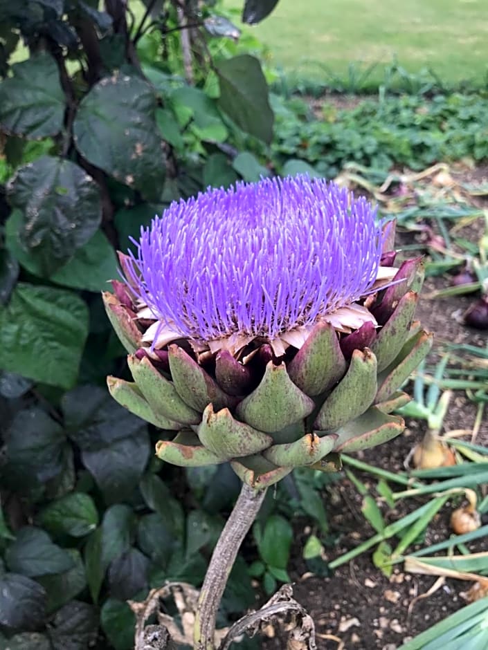 Field End House Strawberry Lane Meysey Hampton