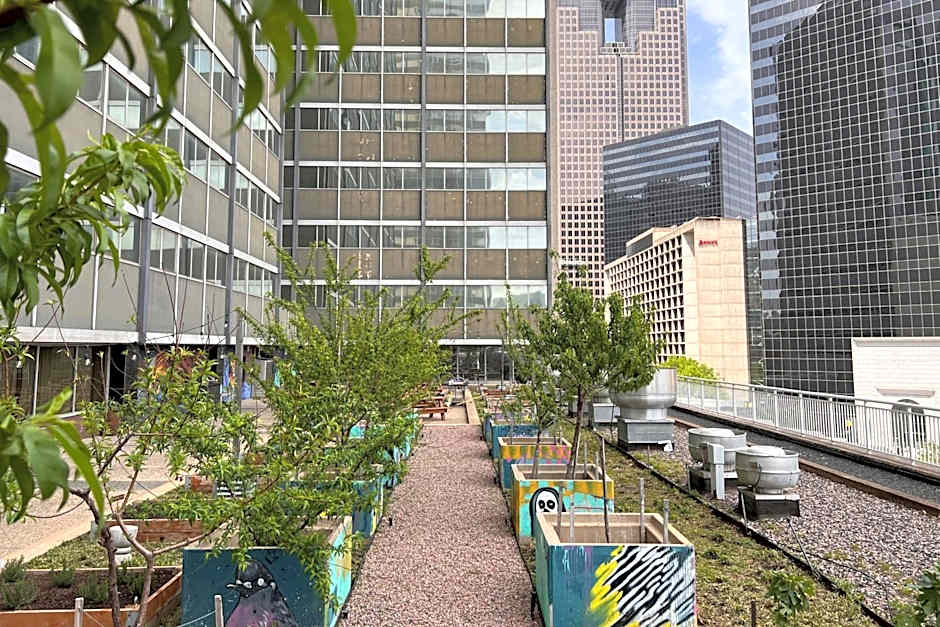 Sheraton Dallas Hotel