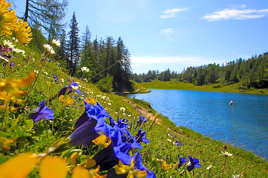 Appartements-Restaurant Schwaiger