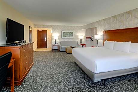 Deluxe King Room with Sofa Bed