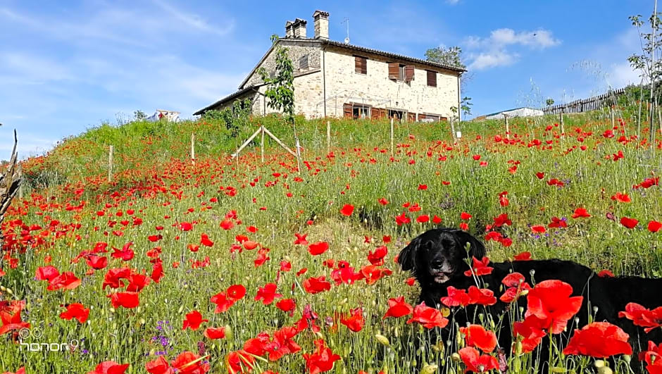 Casale Le Orme