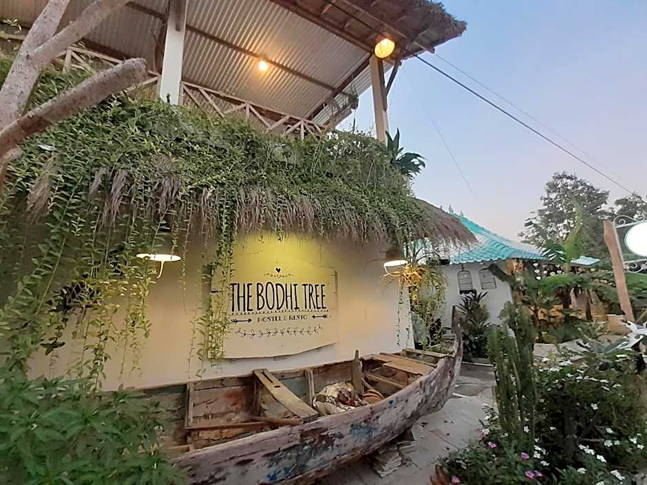 The Bodhi Tree Karimunjawa