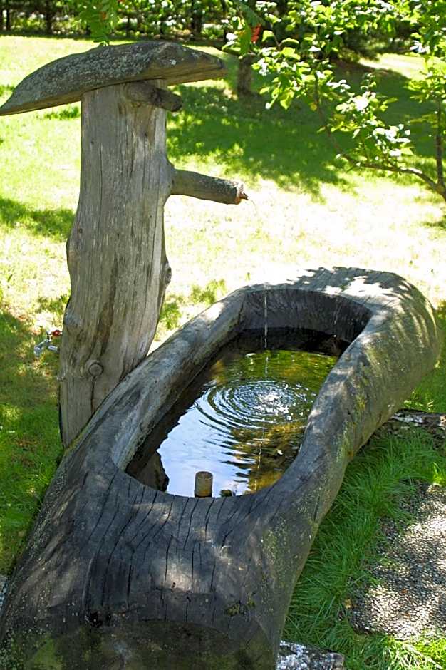 Hotel Markushof 3***S