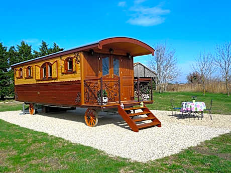 Mobile Home