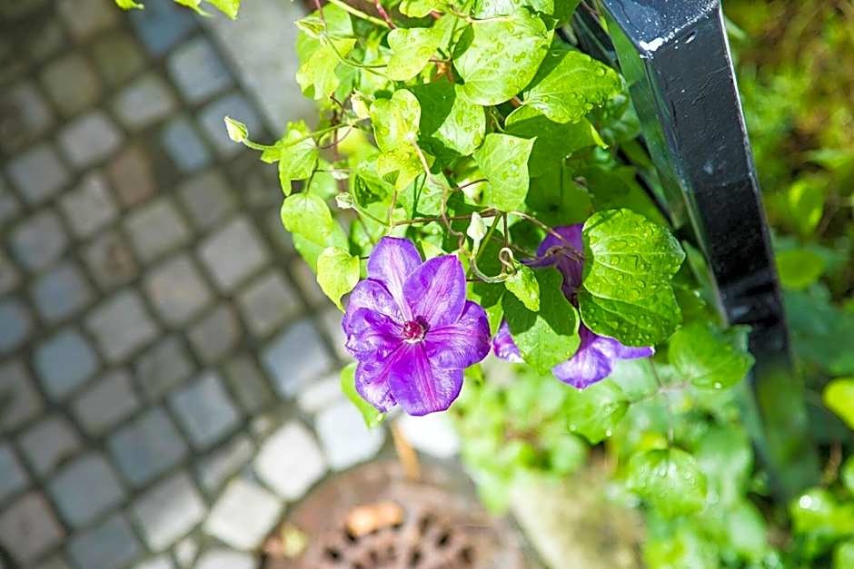 Stavanger Housing Hotel