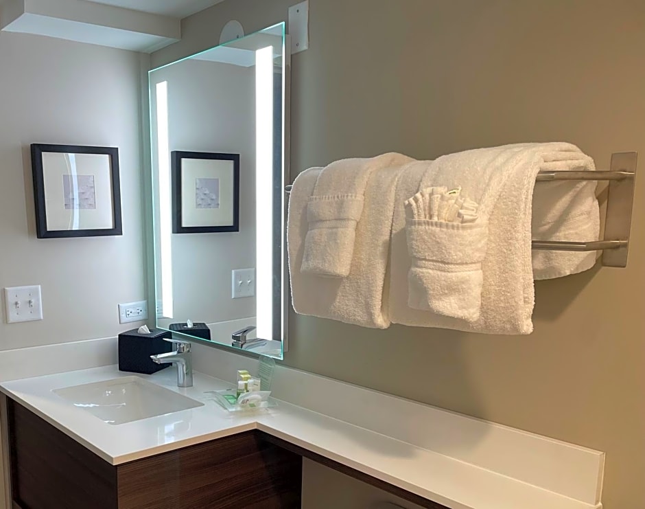 Holiday Inn Hotel & Suites Chicago - Downtown by IHG