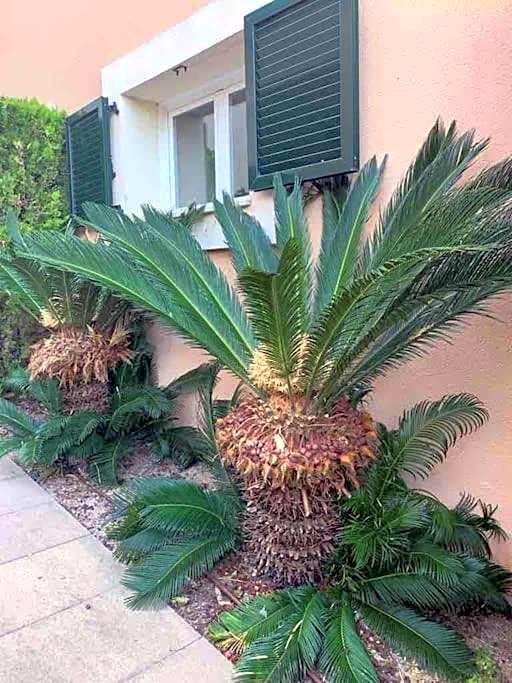 Casa con impresionantes vistas al mar