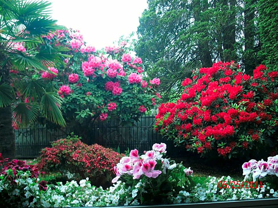 The Stone Hedge Bed and Breakfast