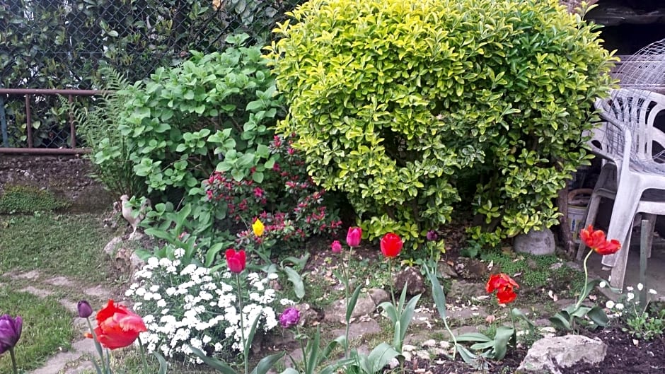 B&B Il Patio – Bergamo, VA