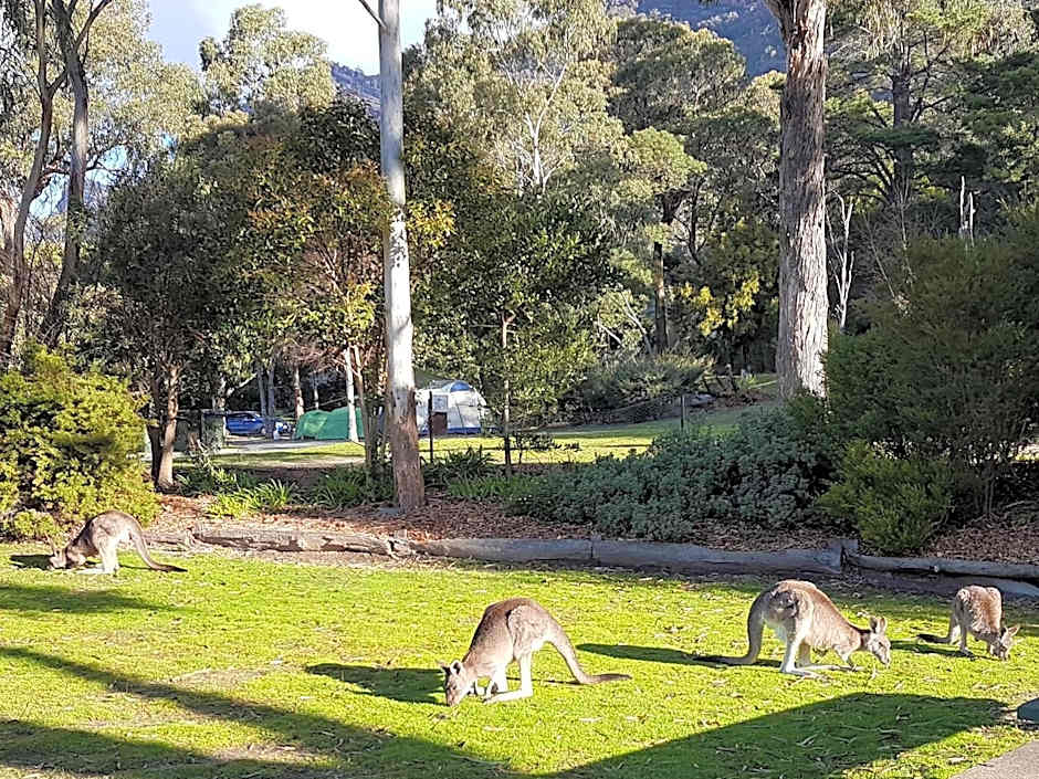 Breeze Holiday Parks - Halls Gap