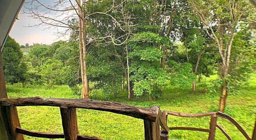Nature Lodge