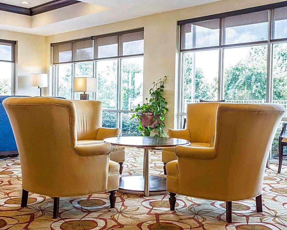 Comfort Suites Rock Hill Manchester Meadows Area