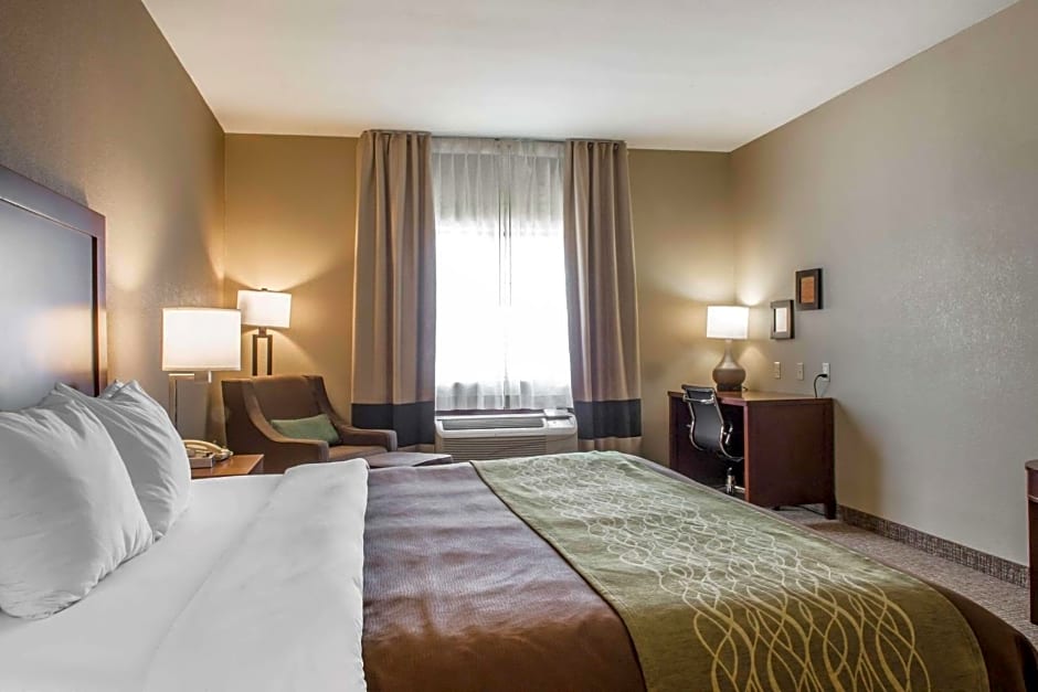 Comfort Inn Edinburg South