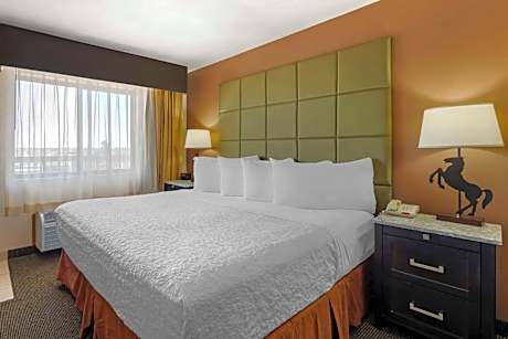 1 King Bed, Non-Smoking, High Speed Internet Access, Microwave And Refrigerator, Balcony, Full Break